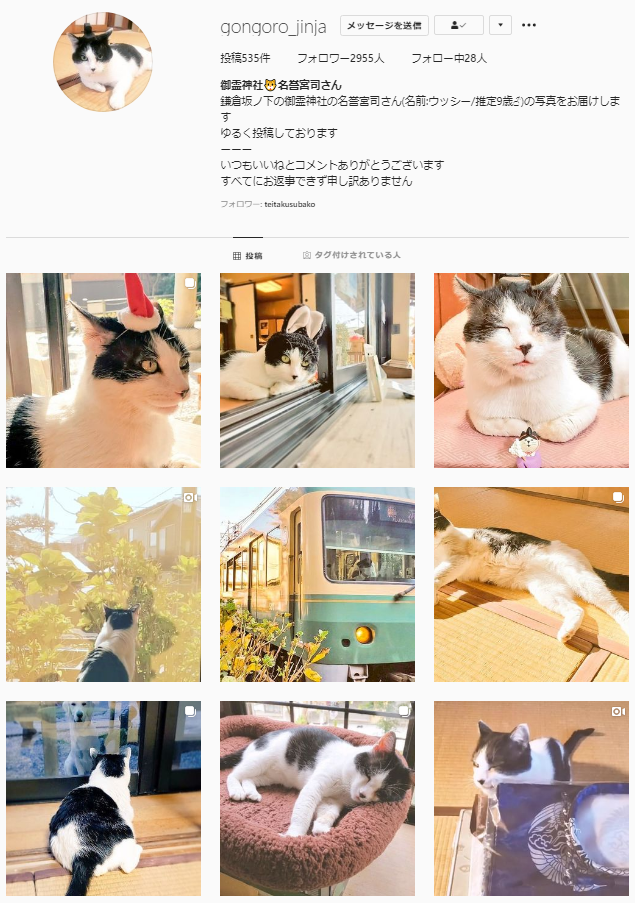 鎌倉 御霊神社　Instagram