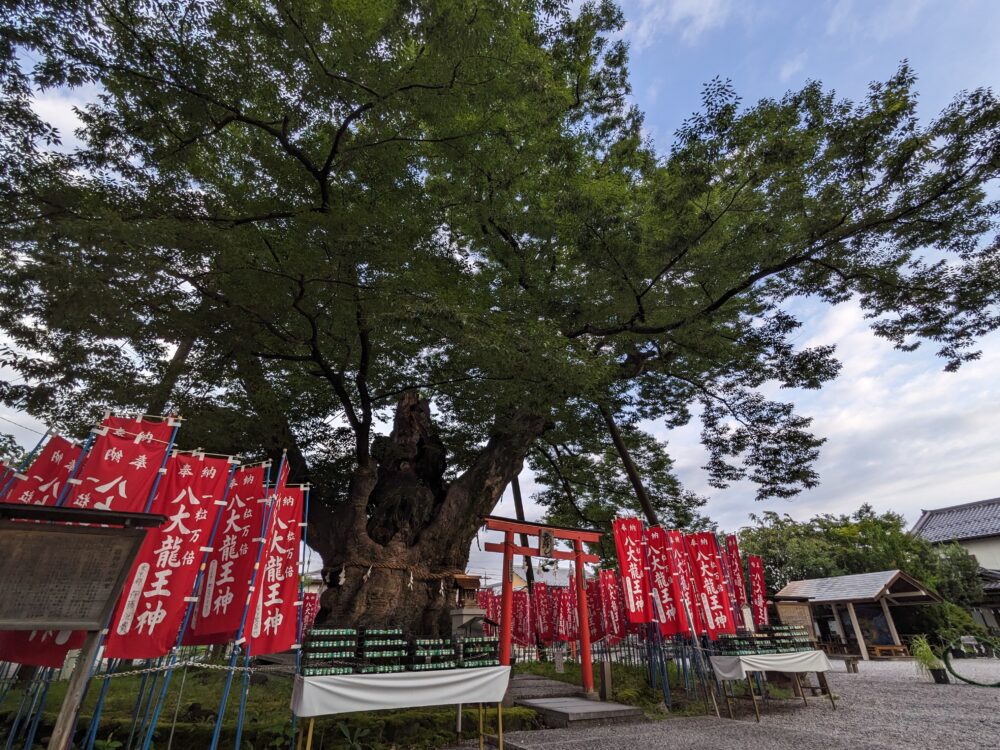 秩父今宮神社