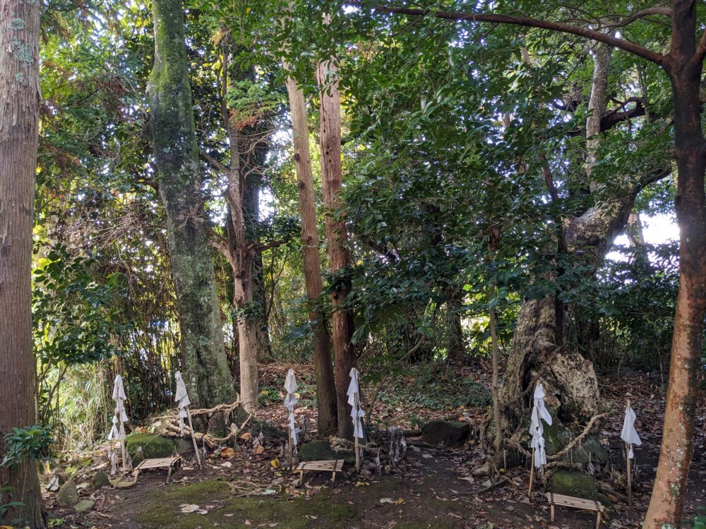 島根県 六所神社